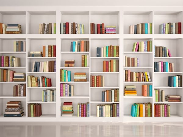 Bookshelf Assembly in Mooresville